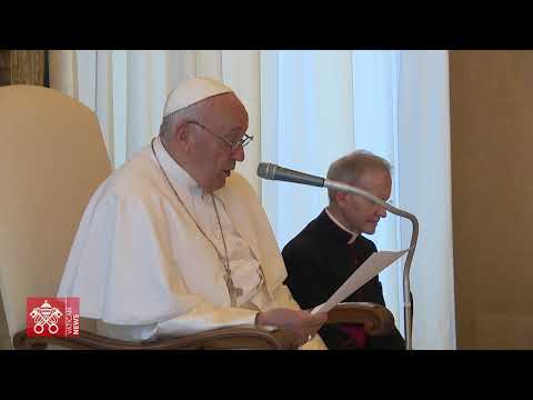 El Papa: Al servicio de los enfermos con la «santa locura del amor»