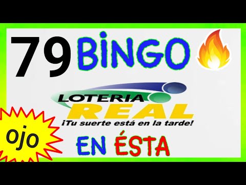 loteria REAL..! (( 79 )) BINGO hoy..! NÚMEROS que MÁS SALEN en las LOTERÍAS SORTEOS de las LOTERÍAS