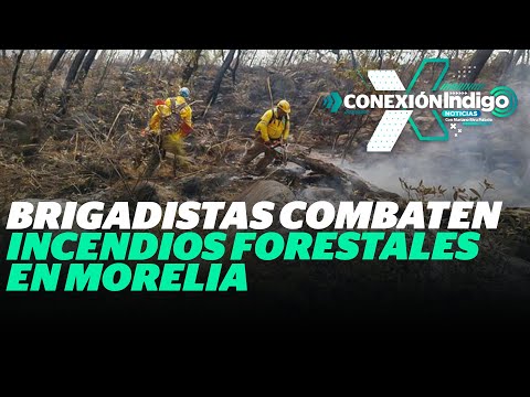¿Cómo siguen los incendios en Morelia? | Reporte Indigo