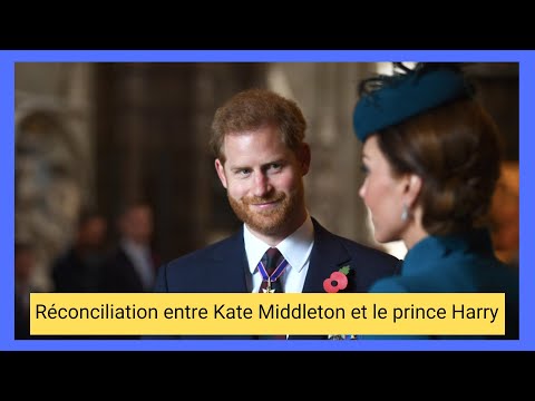Prince Harry angoisse? : son de?sir since?re de se re?concilier avec Kate Middleton