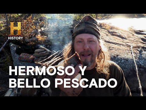 HERMOSO Y BELLO PESCADO  - SOLOS