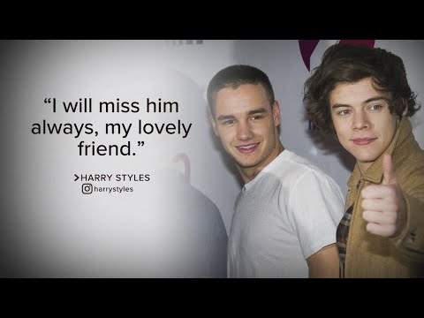 One Direction bandmates mourn Liam Payne