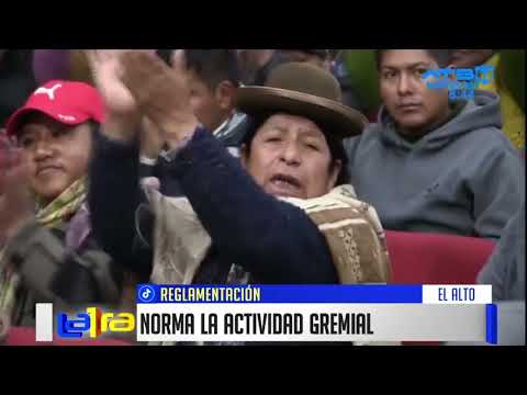 Alcaldesa de El Alto promulga Ley 827 en favor de los gremiales