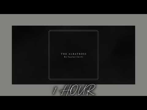 The Albatross - Taylor Swift (1 HOUR)