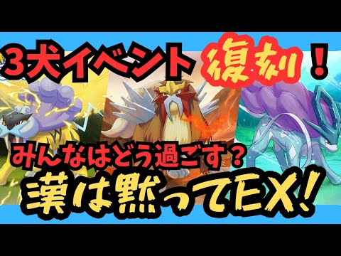 三犬イベント復刻！来週からのパーティ編成＆立ち回りを語る！【ポケモンスリープ】