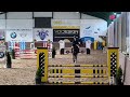 Show jumping horse PRIMA VAN T GESTELHOF.       SPRINGPAARD THUNDER