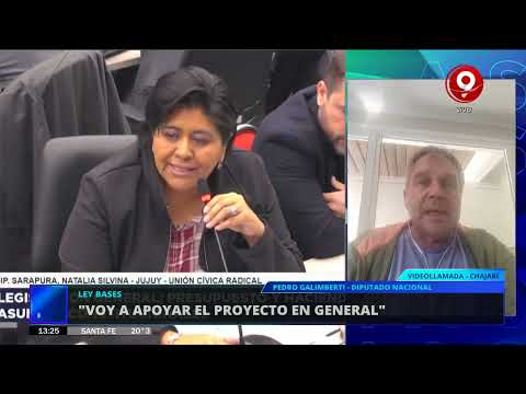 Nuevo dictamen de Ley Bases: la opinión Pedro Galimberti