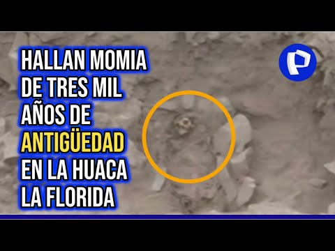 Histórico hallazgo en El Rímac: encuentran momia de más de 3000 años en huaca La Florida