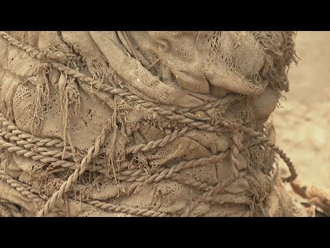 Several pre-Inca mummies found near soccer field of popular Peruvian team