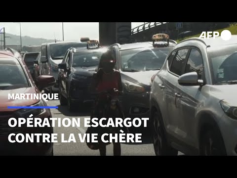 Martinique: manifestation de taxis contre la vie chère | AFP