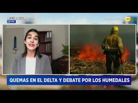 Entre Ríos: continúan los incendios intencionales en el Delta del Paraná en Hoy Nos Toca a las Ocho