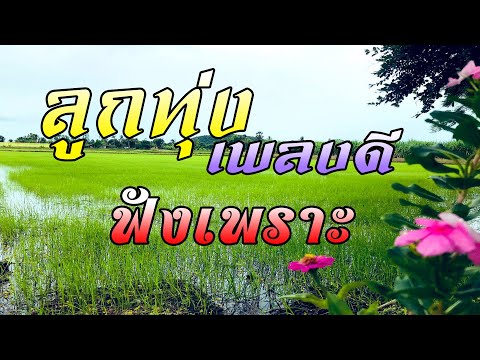 ลูกทุ่งเพลงดี-ฟังเพราะทั้งวัน ลูกทุ่งเพลงดี-ฟังเพราะทั้งวัน