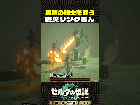 悪魔の騎士を雇う厄災リンクさん【ゼルダの伝説　ティアキン】