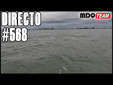 DIRECTO #568 - NOS COMPLICÓ EL CLIMA?