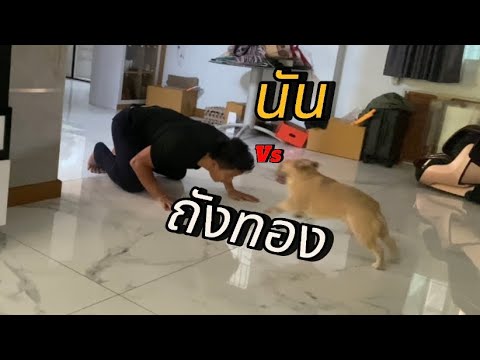 ศึกระหว่างถังทองกับนันไม่ม