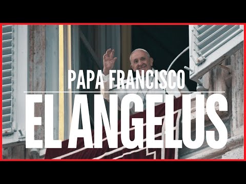 Papa Francisco: Habla en el ángelus  de hoy palabras importantes para la fe