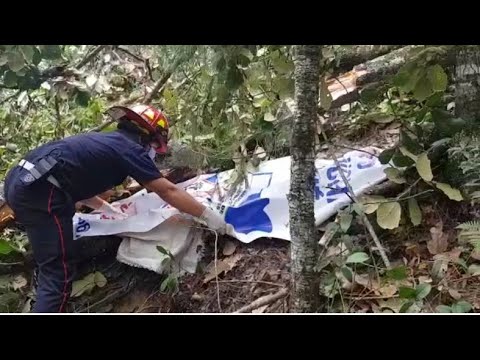 Leñador murió aplastado por un árbol en Chichicastenango