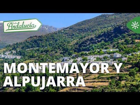 Destino Andalucía | Montemayor, Córdoba y Alpujarra de Granada