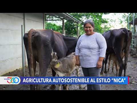 Campesinos nicaragüenses impulsan modelo de producción autosustentable en Costa Rica