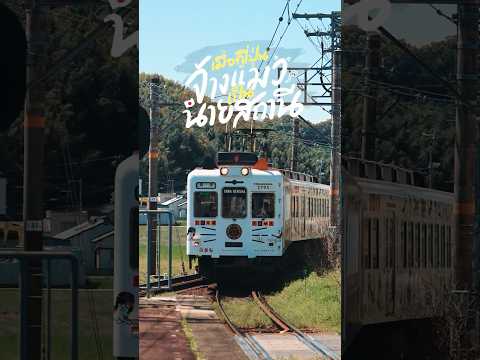 รถไฟขบวนนี้มีนายสถานีเป็นแมวเห