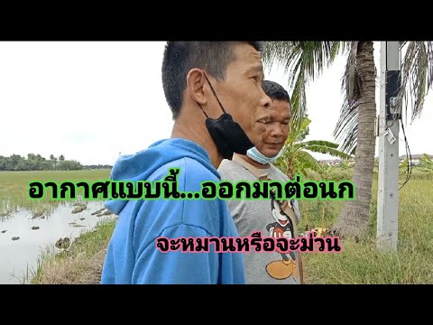 อากาศแบบนี้ออกต่อนกจะหมานหรือค อากาศแบบนี้ออกต่อนกจะหมานหรือค