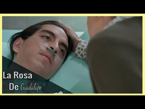 SIN RENUNCIA LA ROSA DE GUADALUPE CAPITULO COMPLETO