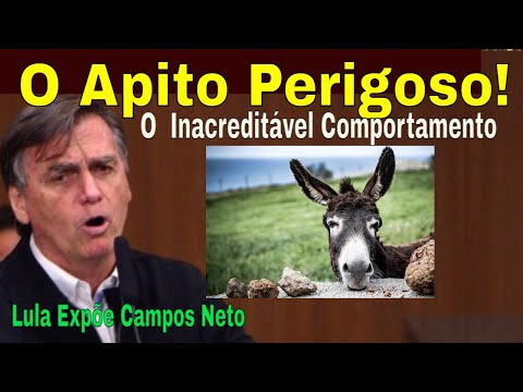 APELOU! BOLSONARO COM MEDO LANÇA O APITO CÃO-CONTRA! TODO CUIDADO É POUCO! LULA: CAMPOS NA MIRA!