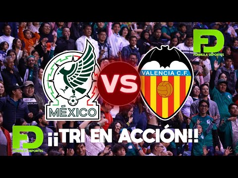 En vivo | TRI en acción | 12/10/2024