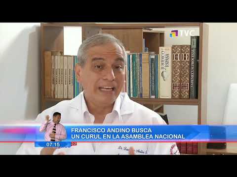 Francisco Andino busca un curul en la Asamblea Nacional