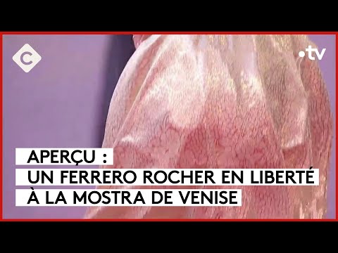 Aperçu : un Ferrero Rocher en liberté à Venise - L’ABC - C à Vous - 06/09/2023