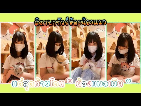 Sita-CGM48-เมื่อสิตาพาทัวร์ห้อ Sita-CGM48-เมื่อสิตาพาทัวร์ห้อ