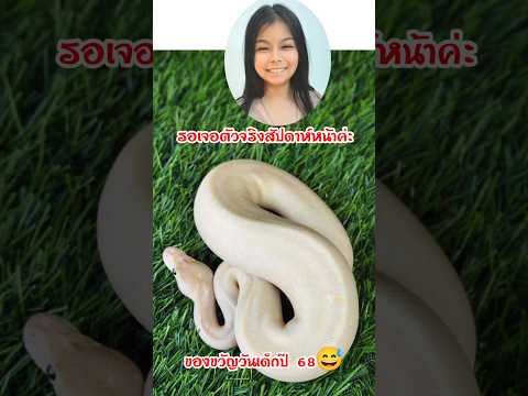 ของขวัญวันเด็กปี68ความสุขของล