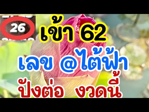 เข้า62เลขแอดไต้ฟ้าปังต่องว