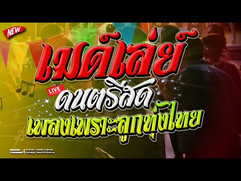 🔥ดนดรีสดลูกทุ่งเมด์เล่ย์เพลง