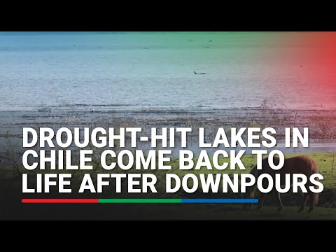Drought-hit lakes in Chile come back to life after downpours