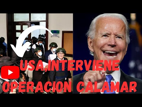 ESTADOS UNIDOS INTERVIENE EN EL CASO OPERACION CALAMAR DEL PLD
