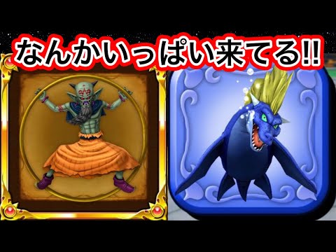 【星ドラ】モンスター闘技場に🈵いっぱい来てました🥰【アナゴ マスオ 声真似】