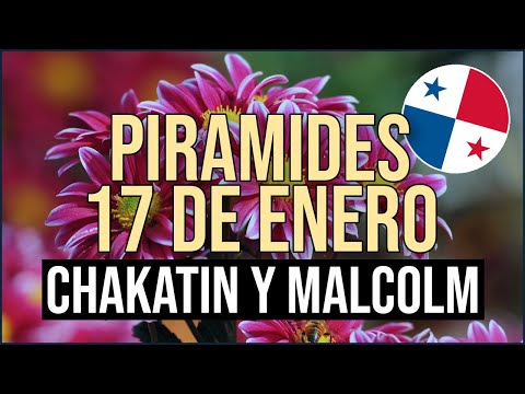 Pirámide Lotería de Panamá Miércoles 17 de Enero 2024  Pirámide de Chakatin y Malcolm Ramos