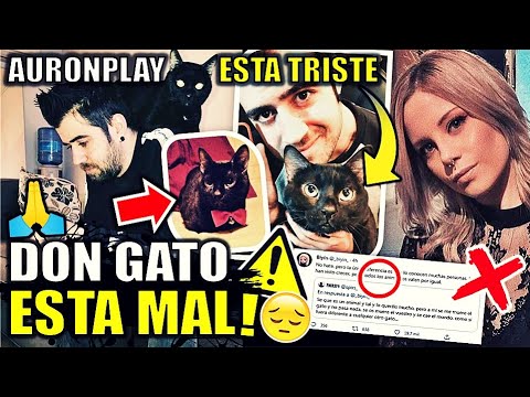 CRITICAN a Auronplay por DON GATO | Biyin RESPONDE | Reborn envia mensaje a Auron triste | RESUMEN