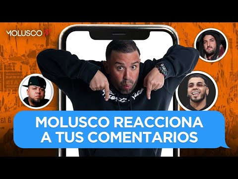 Destruyen a Molusco en comentarios de entrevista a Anuel, Ñejo y El Pana Arabe