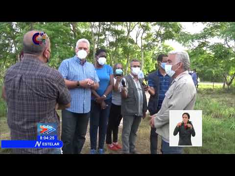 Recorre Presidente de Cuba áreas de la Empresa Agropecuaria Nueva Paz en Mayabeque