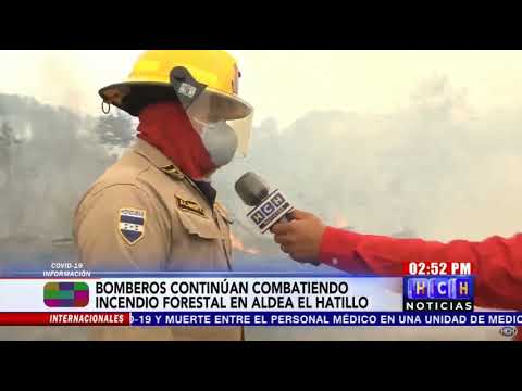 ¡Se quema El Hatillo! Incendio arrasa centenares de hectáreas de bosque