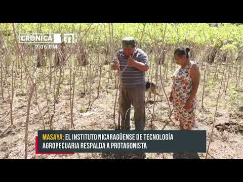 Garantizan la diversificación de cosechas para productores de Masaya - Nicaragua