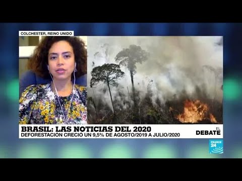 Incendios en la Amazonía, elecciones regionales y pandemia, el 2020 brasileño