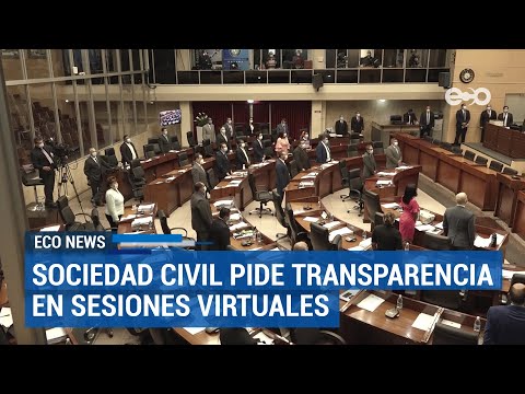 Sociedad civil pidió transparencia en sesiones virtuales de la Asamblea | ECO News