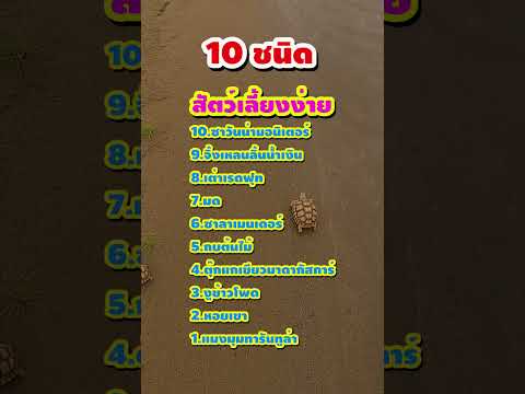 10ชนิดสัตว์แปลกเลี้ยงง่ายในบ