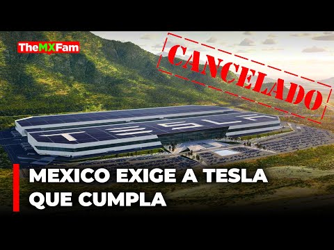 Nos Tomaron el Pelo? México Exige  Tesla que Cumpla de Inmediato | TheMXFam