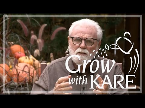 Grow with KARE Questions: Oct. 12, 2024