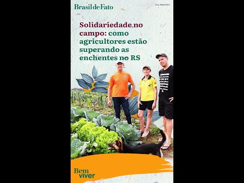 Solidariedade no campo: como agricultores estão superando as enchentes no Rio Grande do Sul