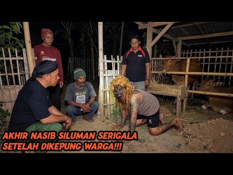 INILAH WUJUD ASLI SILUMAN SERIGALA YANG MERESAHKAN WARGA DESA!!!